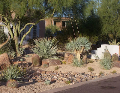 BACKYARD LANDSCAPING IDEAS | LANDSCAPING IDEAS | BACK YARD LANDSCAPING